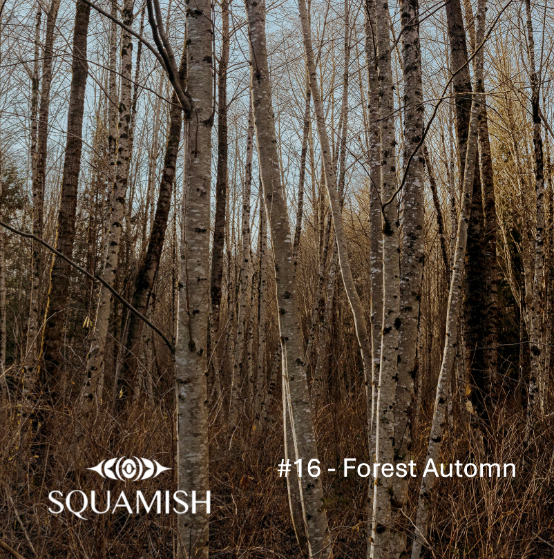On-Demand - Squamish Souvenir Magnets
