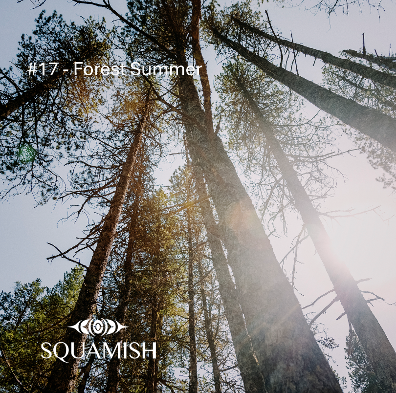 On-Demand - Squamish Souvenir Magnets