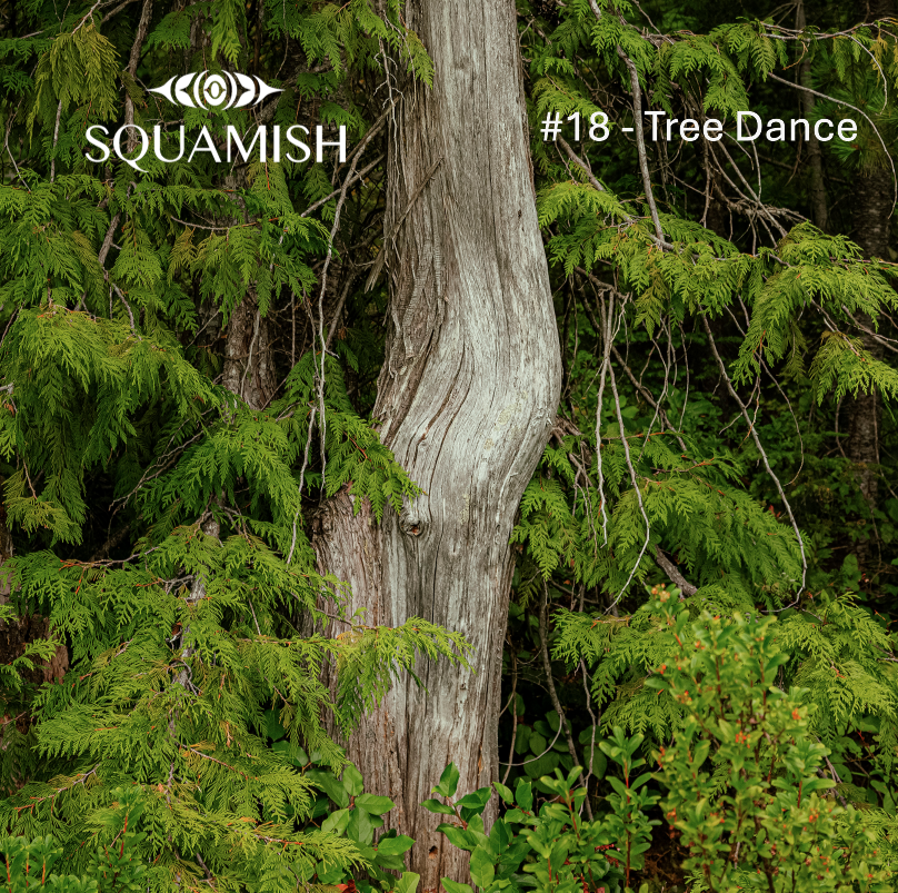 On-Demand - Squamish Souvenir Magnets