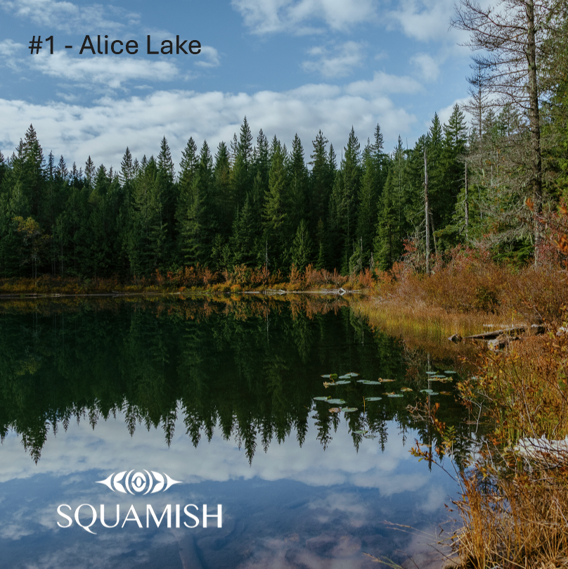 On-Demand - Squamish Souvenir Magnets