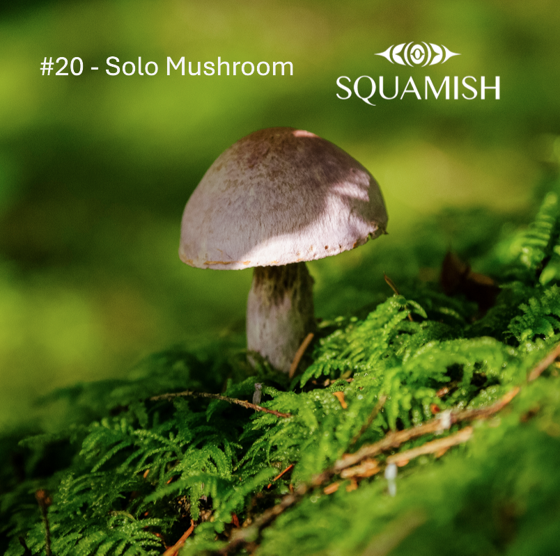 On-Demand - Squamish Souvenir Magnets