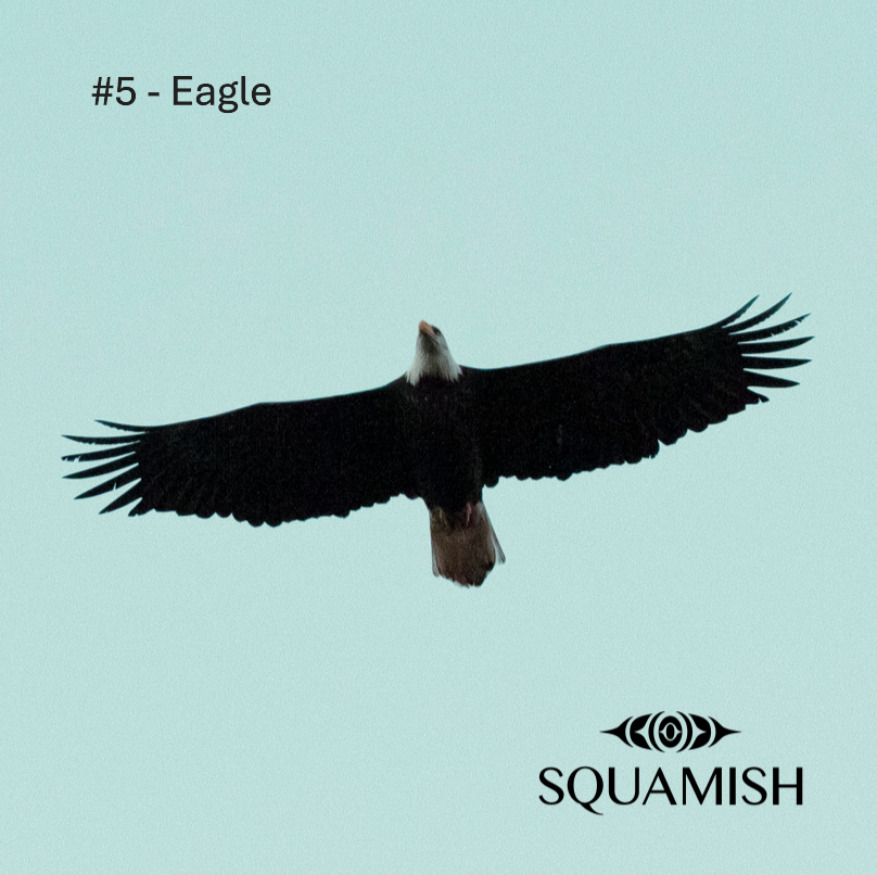 On-Demand - Squamish Souvenir Magnets