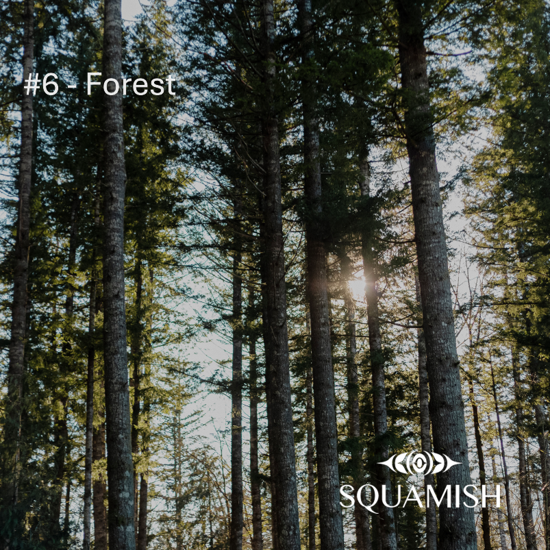 On-Demand - Squamish Souvenir Magnets