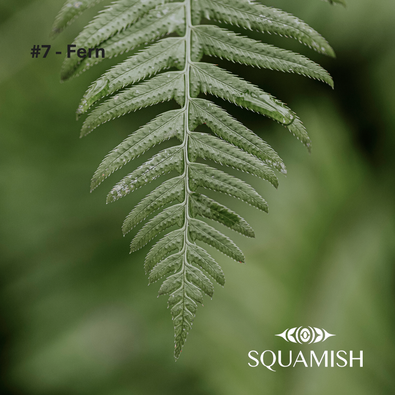 On-Demand - Squamish Souvenir Magnets