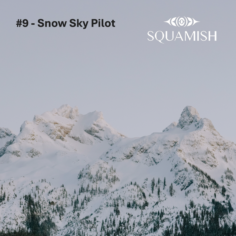 On-Demand - Squamish Souvenir Magnets