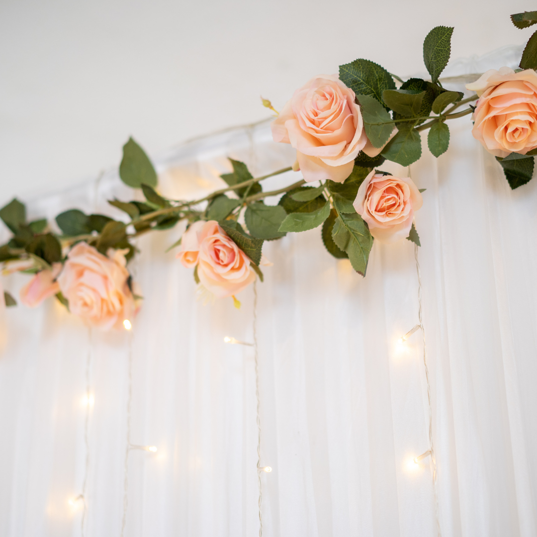 Add-On: Custom Backdrop