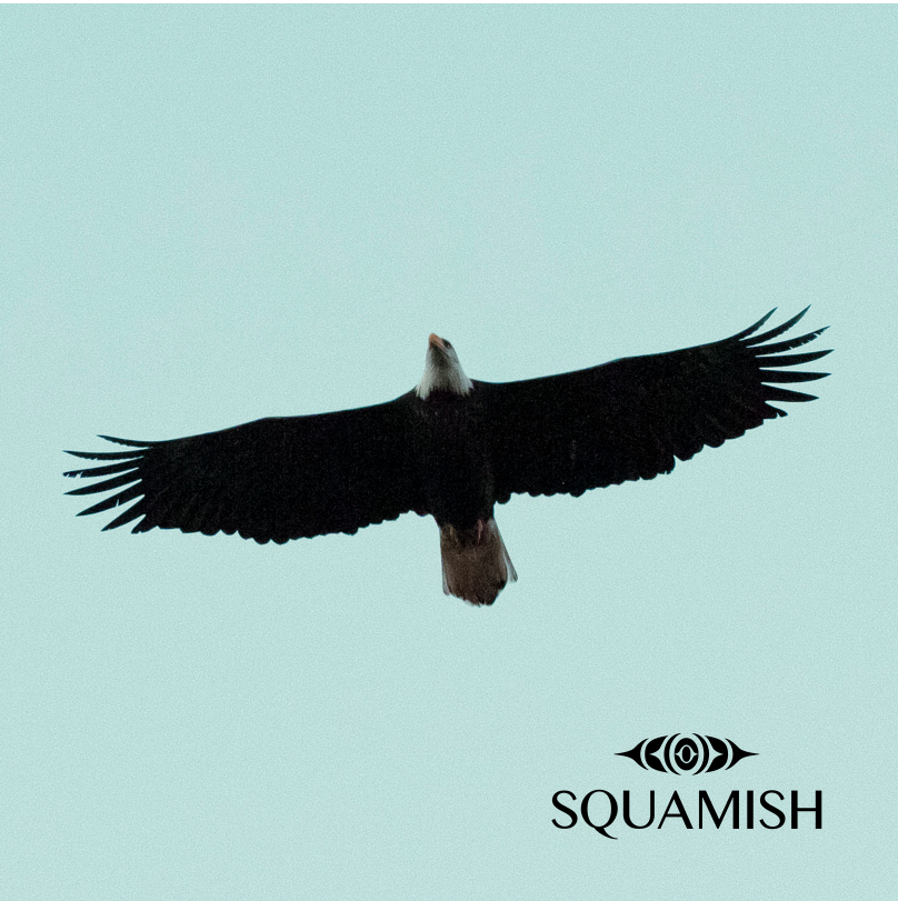 Starter Kit - Squamish Souvenir Magnets