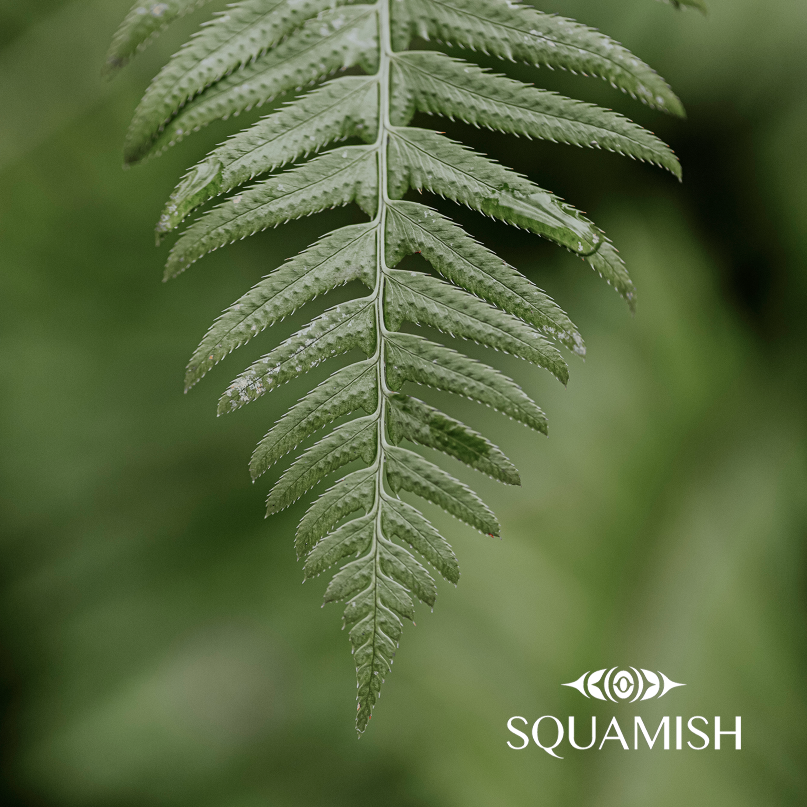 Starter Kit - Squamish Souvenir Magnets