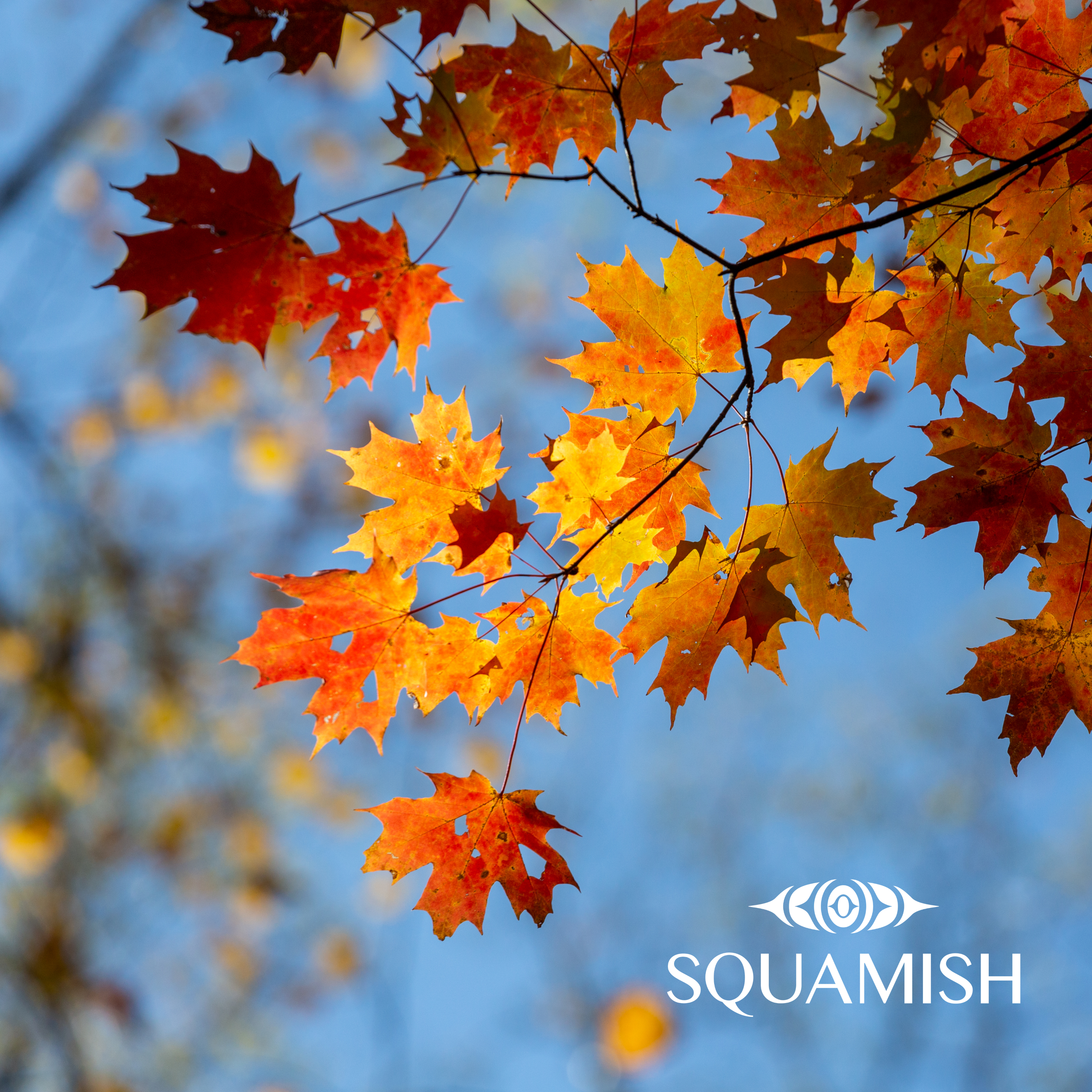 On-Demand - Squamish Souvenir Magnets