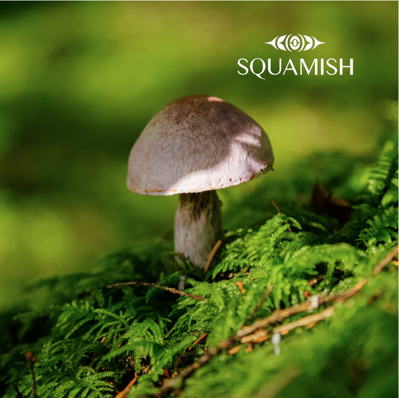 Starter Kit - Squamish Souvenir Magnets