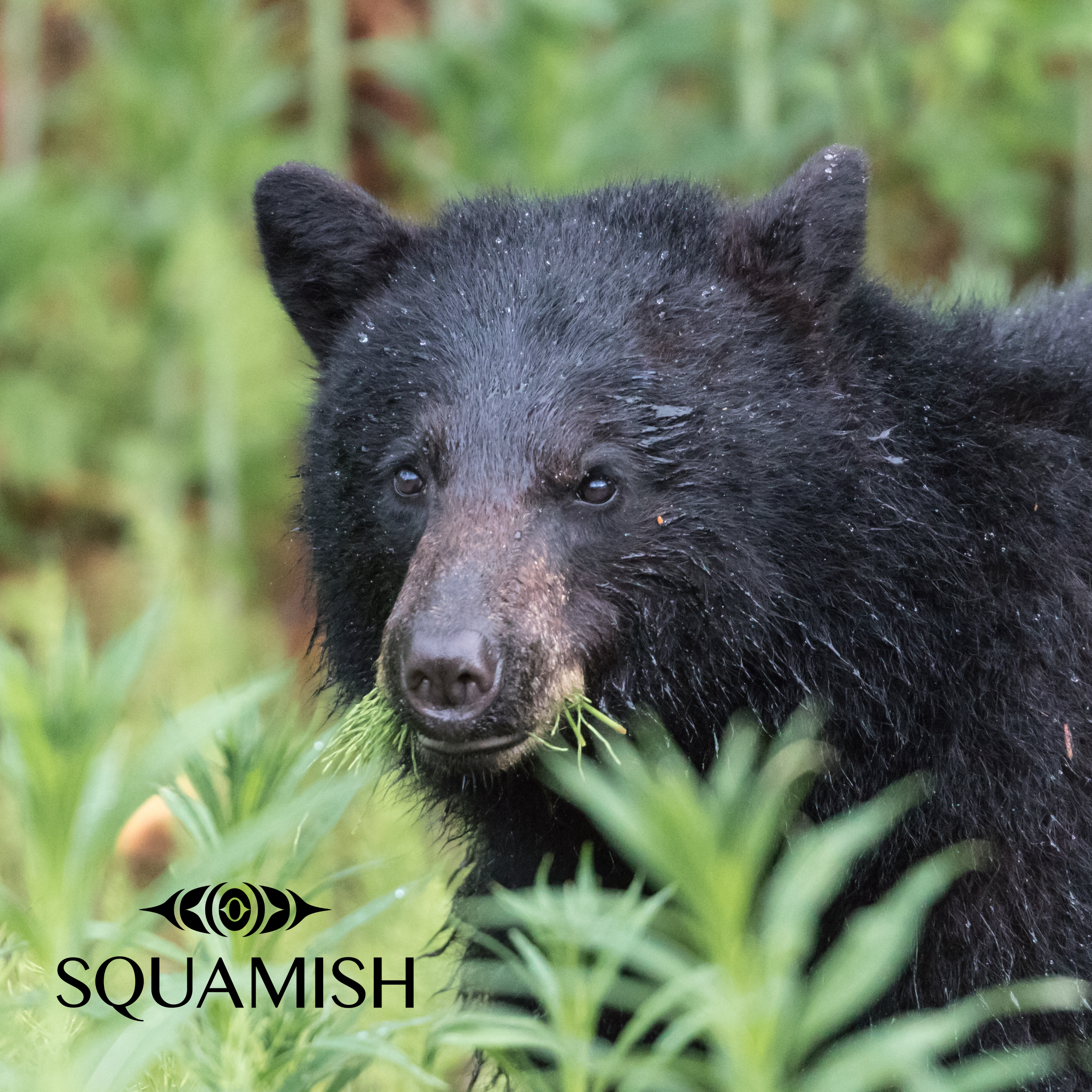 On-Demand - Squamish Souvenir Magnets