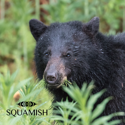 On-Demand - Squamish Souvenir Magnets