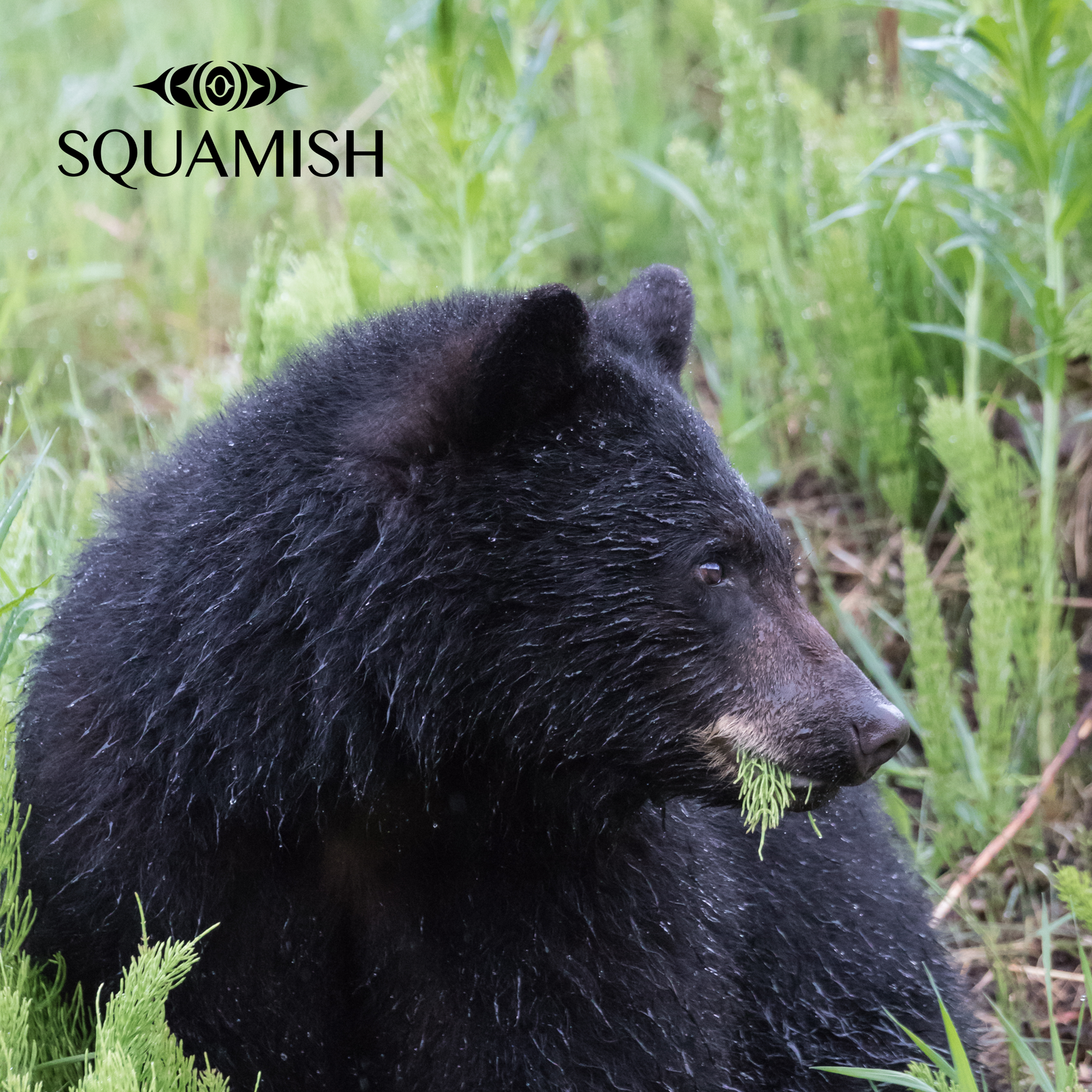 On-Demand - Squamish Souvenir Magnets