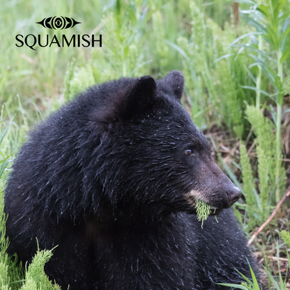 On-Demand - Squamish Souvenir Magnets