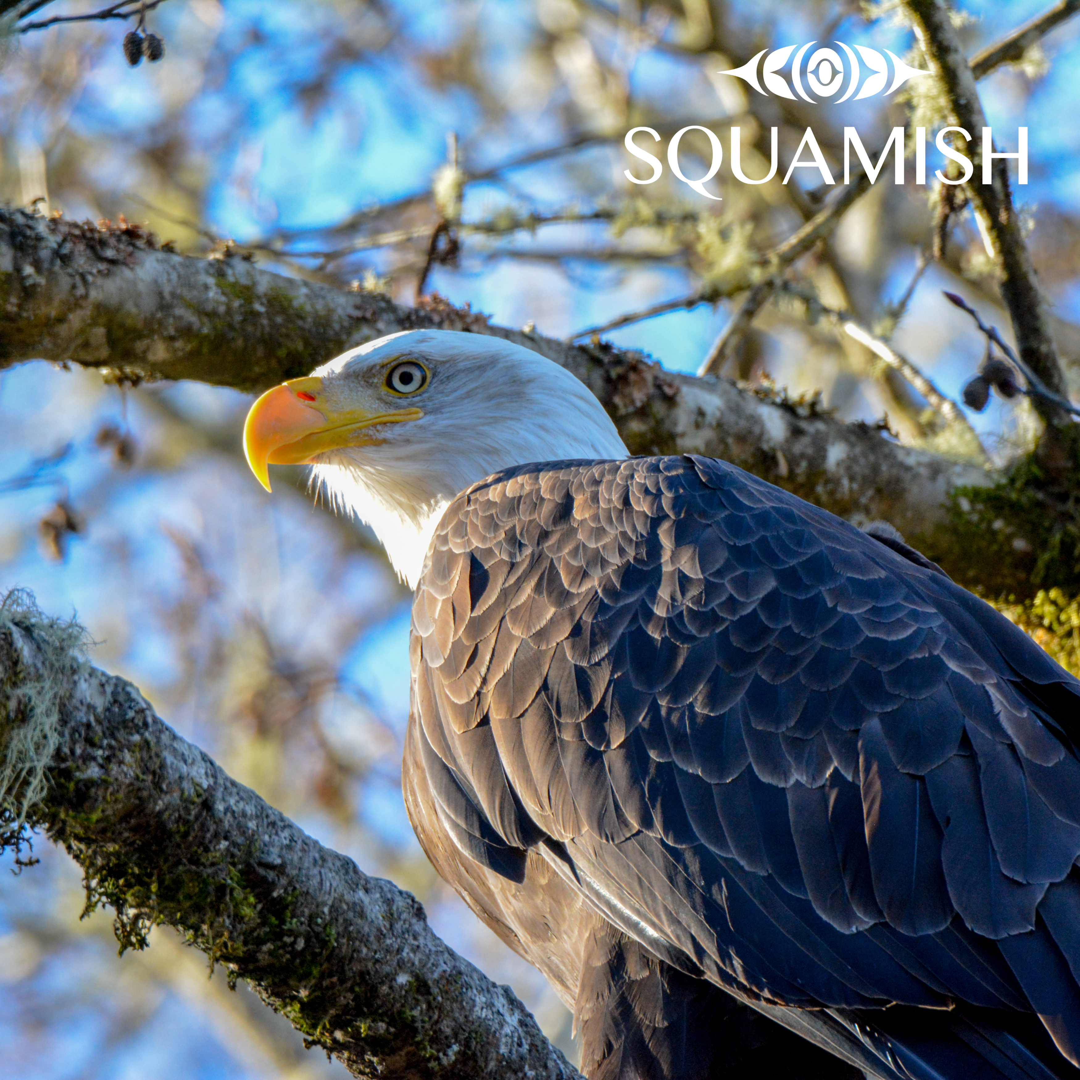 On-Demand - Squamish Souvenir Magnets