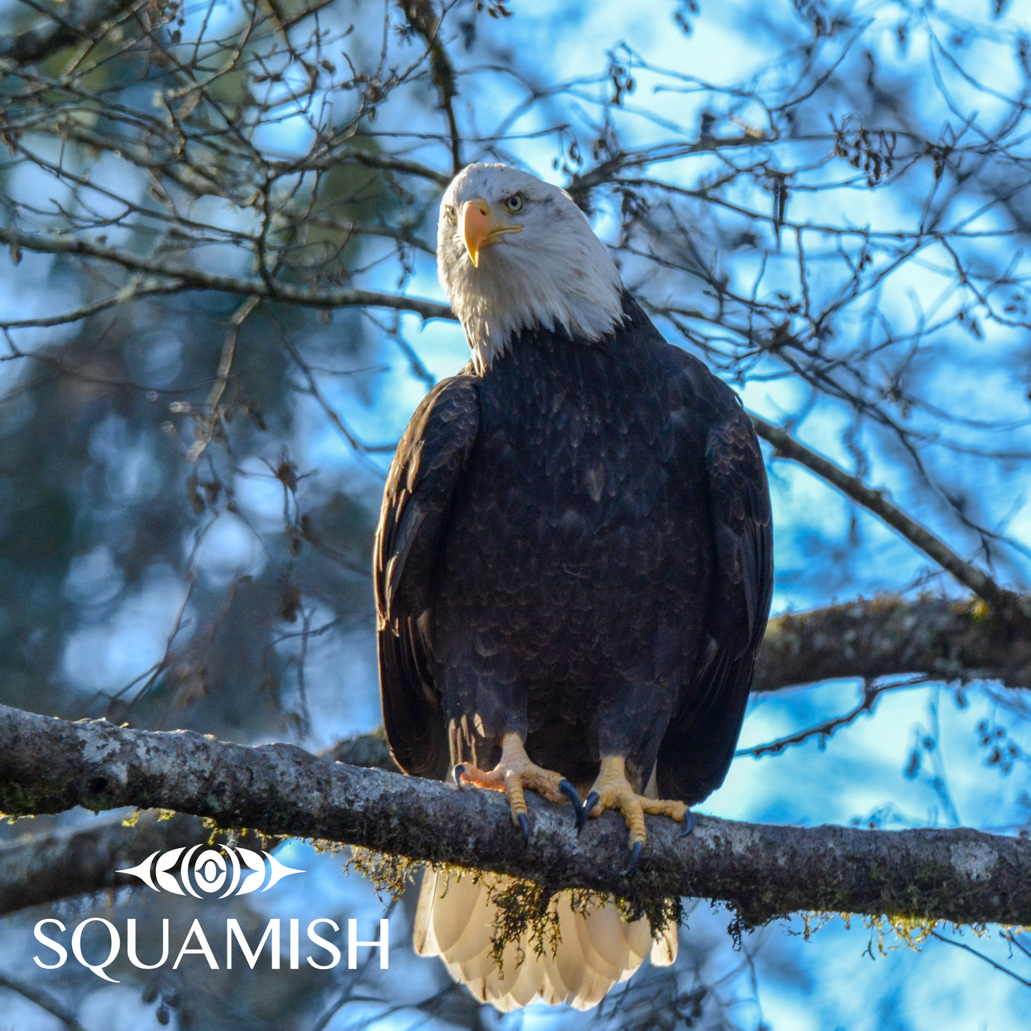 On-Demand - Squamish Souvenir Magnets