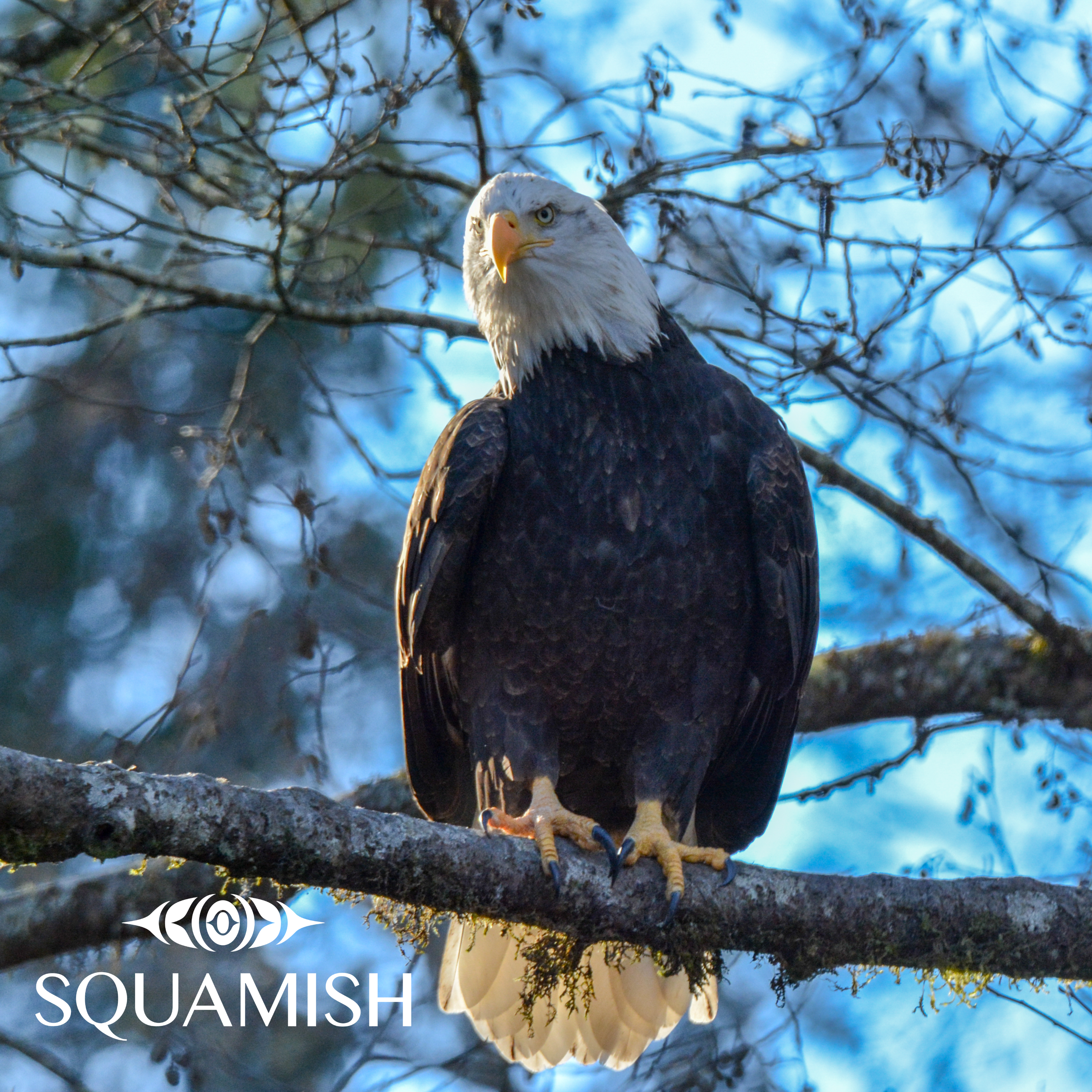 On-Demand - Squamish Souvenir Magnets