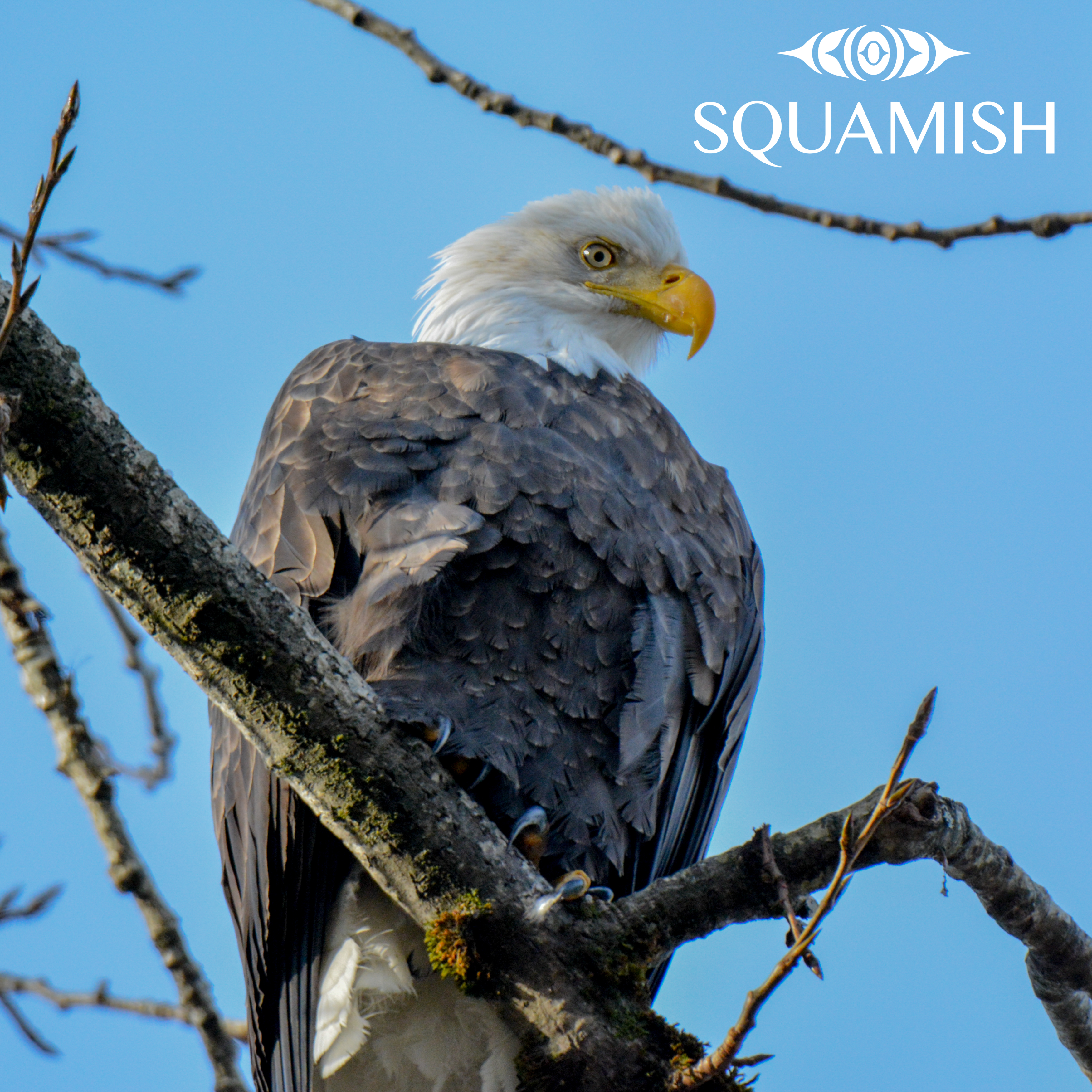 On-Demand - Squamish Souvenir Magnets