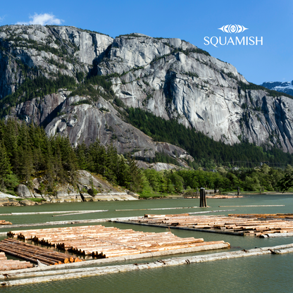 Starter Kit - Squamish Souvenir Magnets
